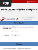 Tipos de Morte Celular: Apoptose e Necrose | PDF | Necrose | Apoptose