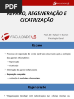 Aula 05 Reparo, Regeneração e Cicatrização