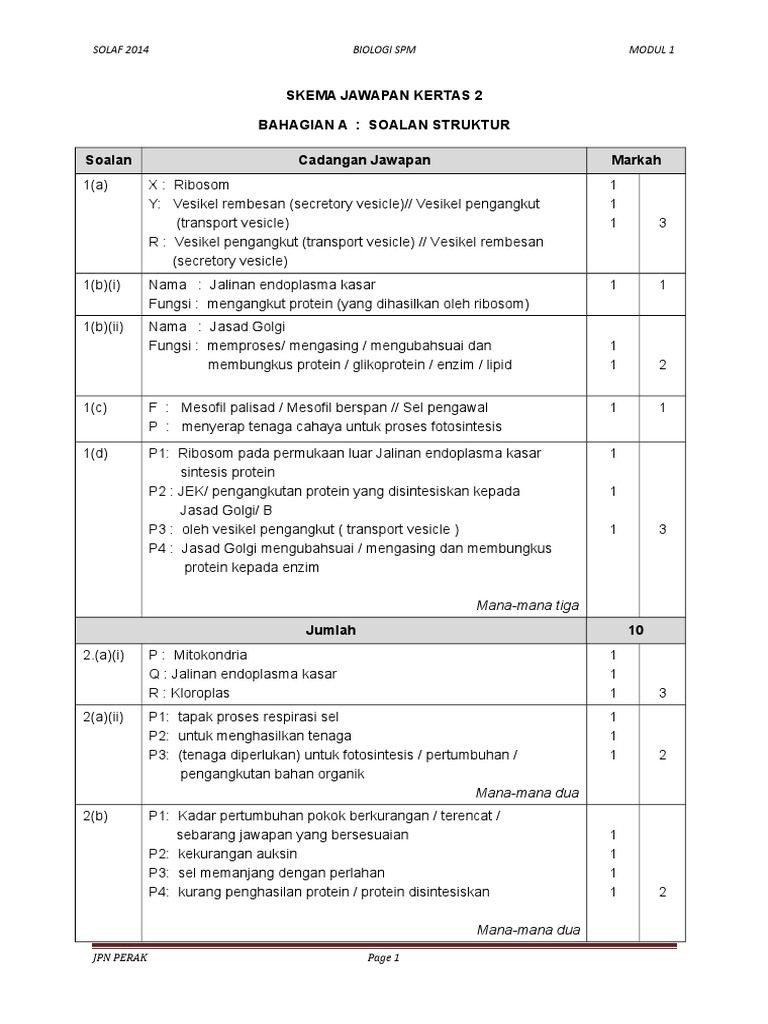 SKEMA JAWAPAN SOALAN STRUKTUR Bab 2 | PDF