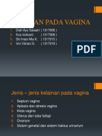 Kelainan Pada Vagina