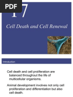 Ip Weblink Hypertext Transfer Protocol World Wide Web