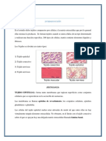 Resumenes de Histologia