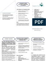 Triptico Requisitos y Agencias