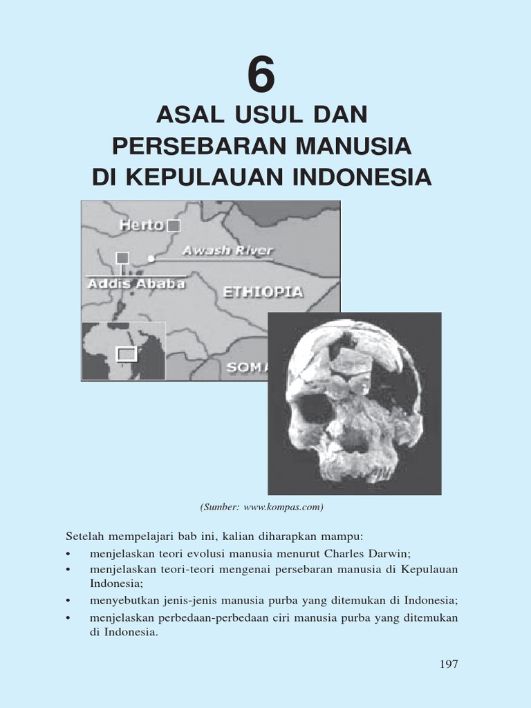 Asal Usul Manusia Purba PDF | PDF