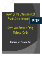 Annex 15 - Enhancement of Private Sector Involvement (CMG) 