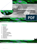 Toxoplasma Gondii - Joe Espinoza
