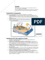 Relacion del agua con las plantas(2).doc