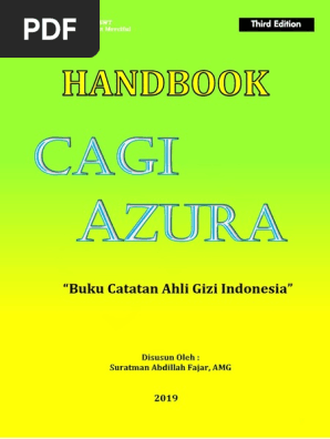 Handbook Cagi Azura Ed 3 2019 Pdf