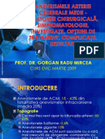 Anevrismele de ACM - Neurochirurgie EMC