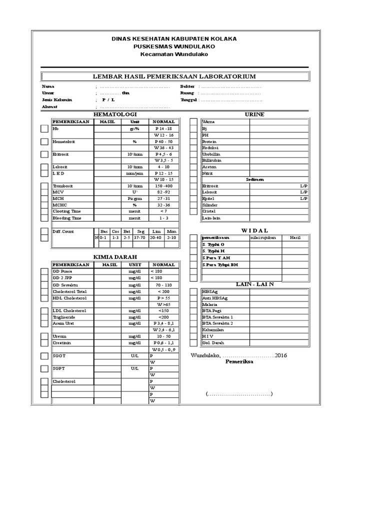 Hasil Pemeriksaan Laboratorium Puskesmas | PDF