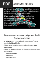 Macro Molecules