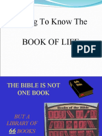 Bible Introduction 1 (English)