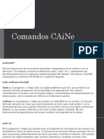 Comandos CAiNe.pptx