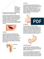 Órganos del sistema digestivo