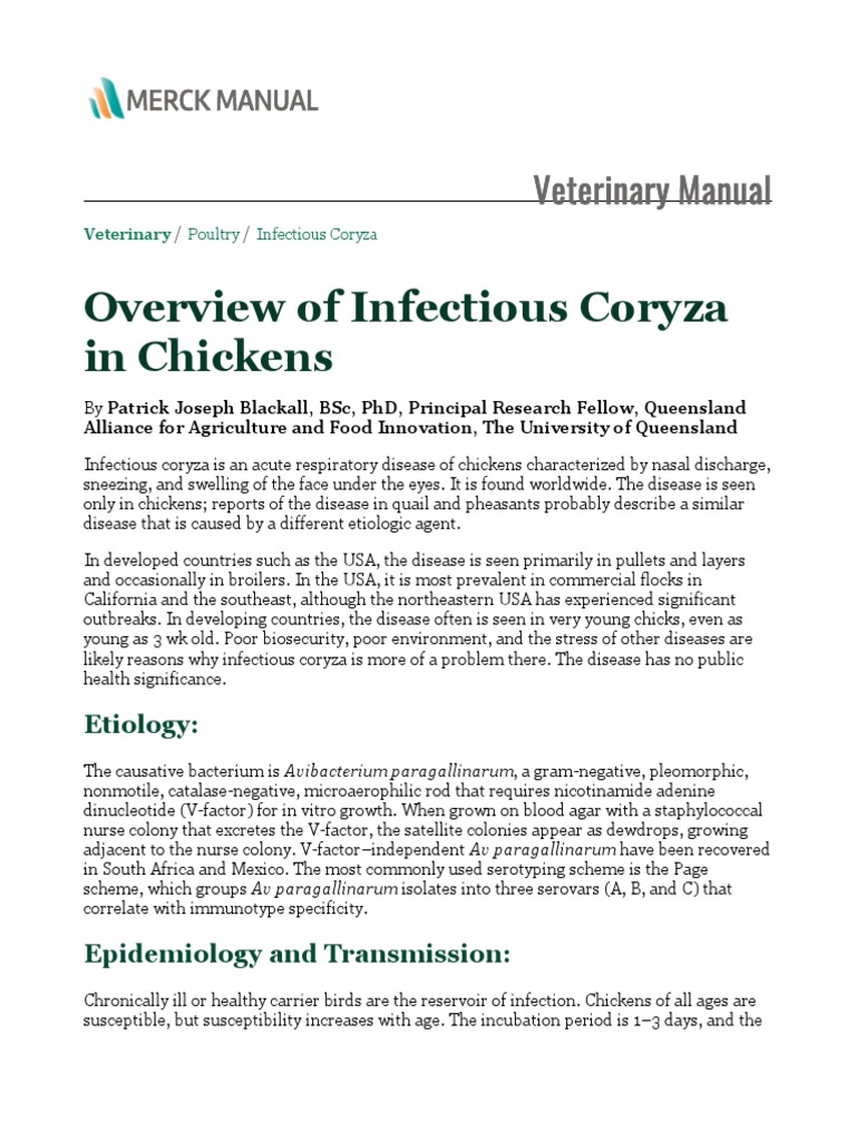 Overview of Infectious Coryza in Chickens: Veterinary Manual | PDF ...