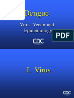 Dengue: Virus, Vector and Epidemiology
