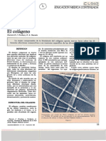 COLAGENO.pdf