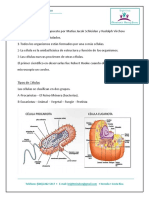 Ciencias Zapandi Virtual  Tema N°2 .pdf