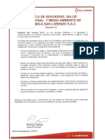 POLITICA_V6.pdf