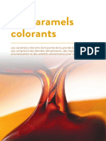 USIPA Fiche Caramels Colorant