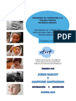 Programa IFIVF PDF