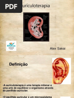 Curso de Aurículo - Sakai