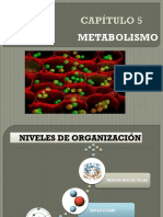 CAPÍTULO 5 - Metabolismo.pptx
