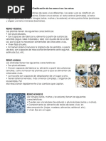 Clasificación de Los Seres Vivos