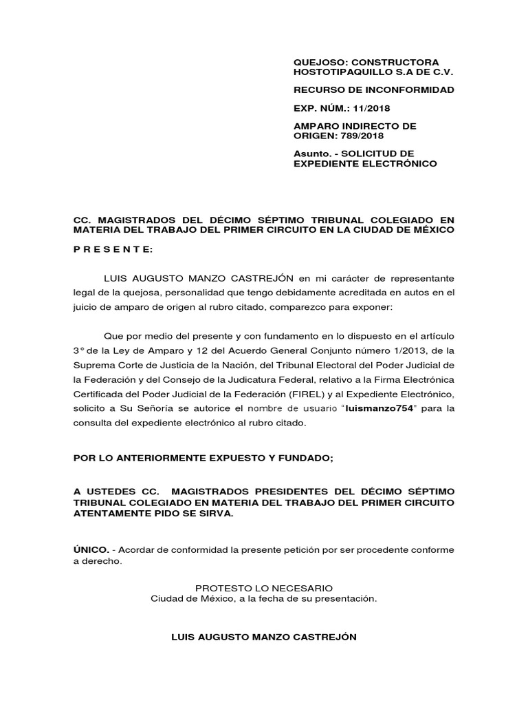 Autorizaci n para solicitud de acceso a expediente electr nico pdf