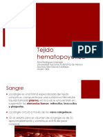 Tejido hematopoyético: Eritrocitos, leucocitos y plaquetas