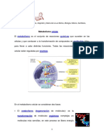 2BiologiaMetabolismocelular PDF
