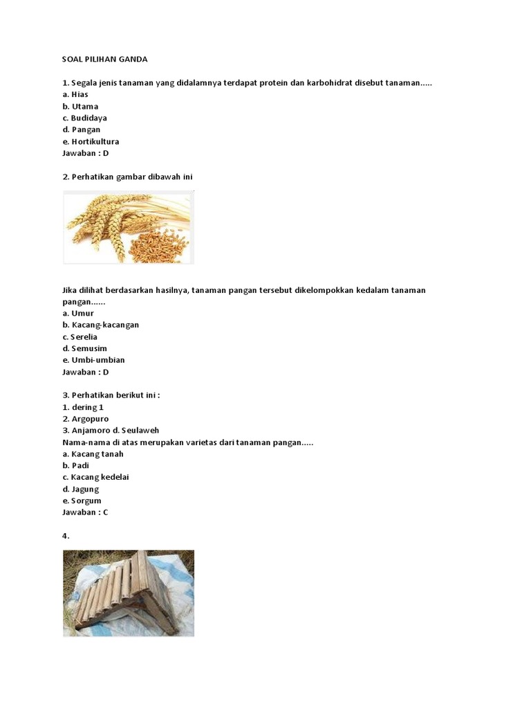 Soal Budidaya Kelas 1 Smt 1