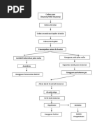 372681738-Etnomedicine