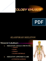 Osteology 2