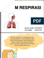 Sistem Respirasi