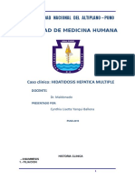 A i Epi Manual Profesional Es