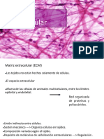 Matriz extracelular.pdf