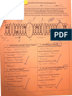 transport essay