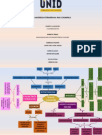 Organizador Grafico Diferentes Tipos de Evaluación