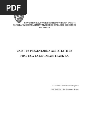 Proiect Garanti Bank