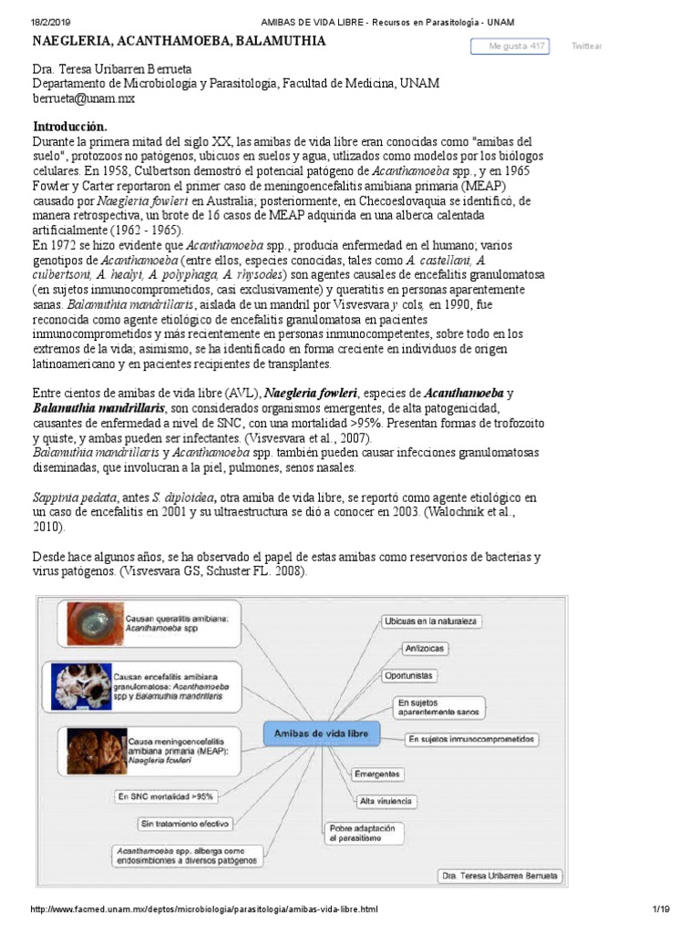 Amibas De Vida Libre Descargar Gratis Pdf Meningitis Agua