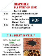 Cell As A Unit of Life: Prepared by Ms Sue Soh