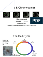 01b Cell Cycle