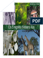 Els 5 Regnes Déssers Vius