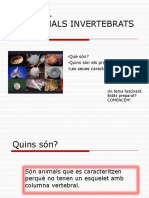 Els Animals Invertebrats PDF