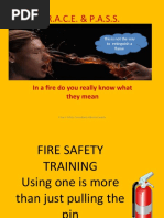 Download Race and Pass Fire Control by Terry Penney SN40015555 doc pdf
