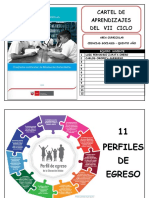 Cartel de Aprendizajes Area Curricular Cien Cias Sociales Quinto Año