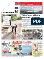 Platinum Gazette 22 February 2019