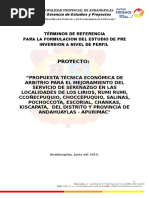 288391914-TDR-PERFIL-TECNICO-SEGURIDAD-CIUDADANA-2-doc.doc