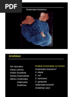 Amebiase Med